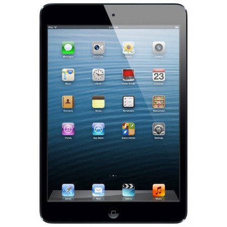 Apple iPad mini 64Gb Wi-Fi черный - Новодвинск