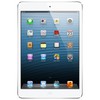 Apple iPad mini 16Gb Wi-Fi + Cellular белый - Новодвинск