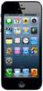 Смартфон Apple iPhone 5 16Gb Black & Slate - Новодвинск