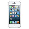 Apple iPhone 5 16Gb white - Новодвинск