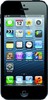 Apple iPhone 5 16GB - Новодвинск